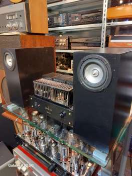 Preview: Tangband W3 Breitband Hornlautsprecher High End Lautsprecher für Röhre